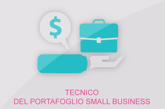 TECNICO-DEL-PORTAFOGLIO-SMALL-BUSINESS
