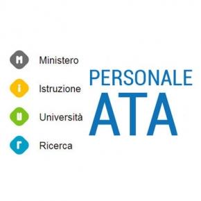 nomine-ata